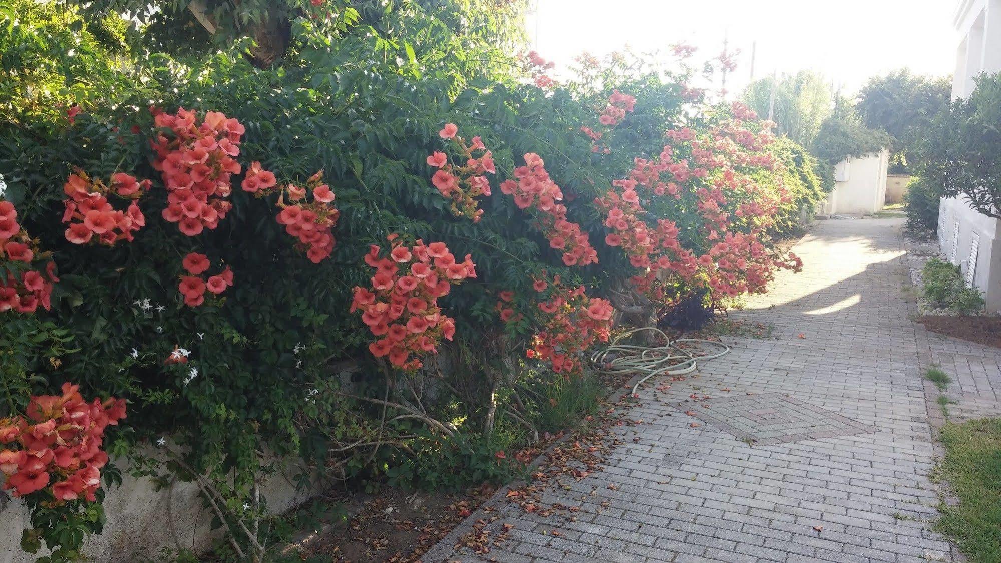 Corfu Anastasia Kontokali Buitenkant foto